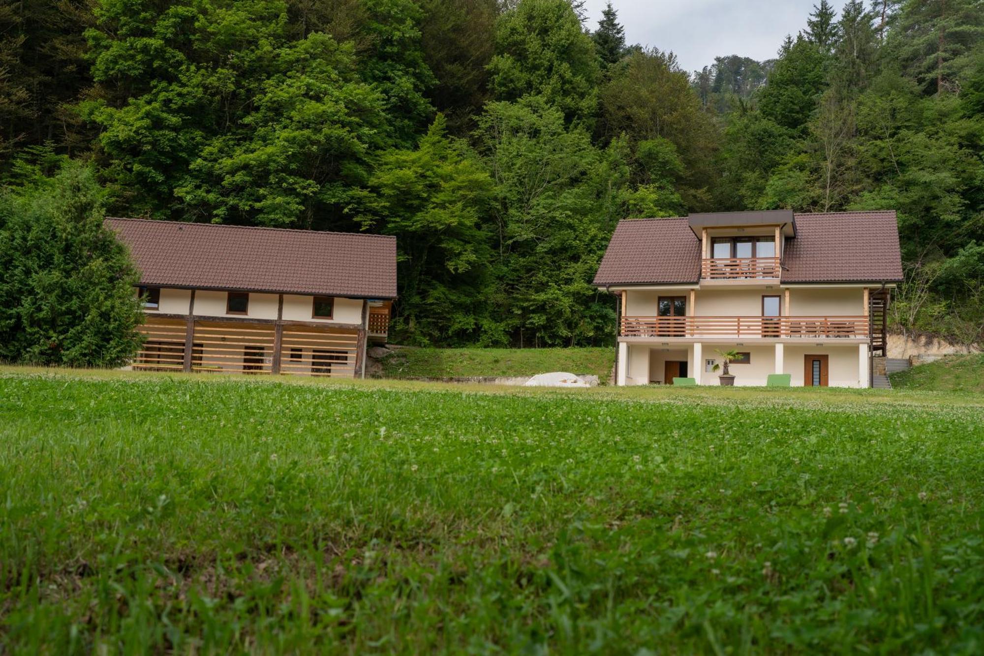 Ribnik Stari Trg Apartment Lesicno Exterior photo